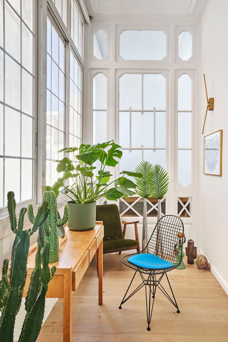 Sunlit corner with tall gridded windows, potted plants on timber bench and wire chairs on oak flooring