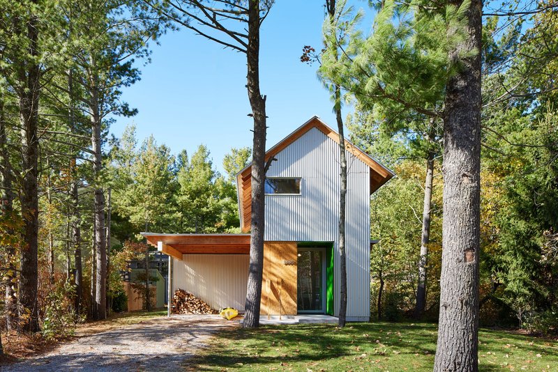 Corrugated metal-clad gable structure with attached carport framed by pine trees in dappled sunlight