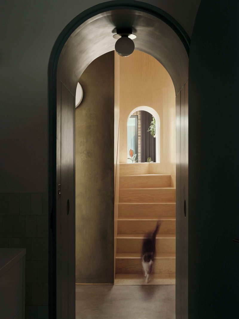 Arched doorway framing a view through to timber stairs with a cat descending under pendant light