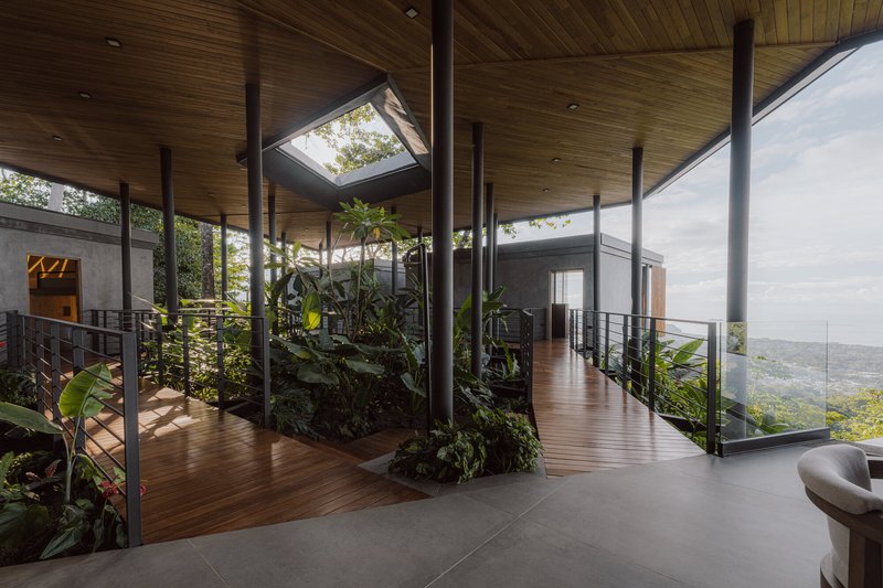 Interior courtyard garden beneath a skylight with timber decking and steel columns