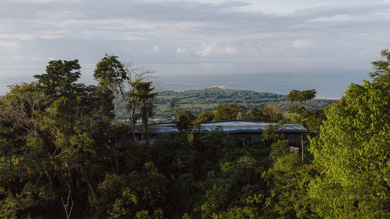 Long view of the low roof emerging from dense tree canopy with ocean horizon beyond