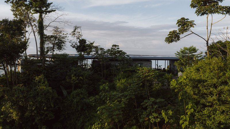 Slender horizontal structure on columns rising above jungle treeline at dusk