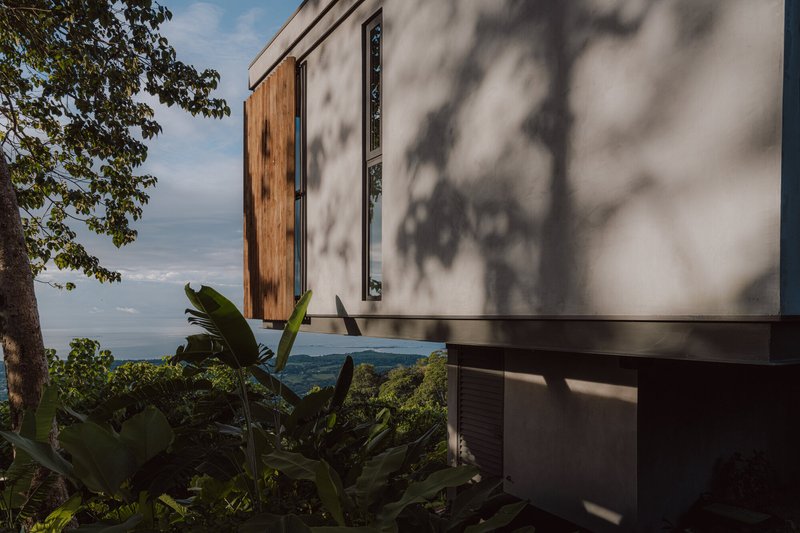 Exterior facade with timber cladding and rendered walls casting tree shadows in afternoon light