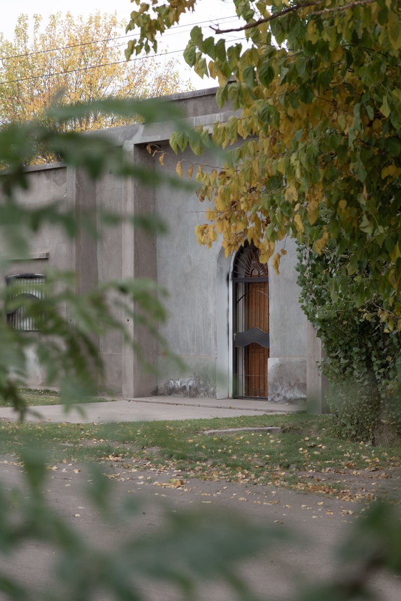 Concrete volume with arched timber door glimpsed through autumn foliage and fallen leaves