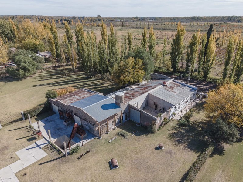Aerial view of the compound with corrugated metal roofs surrounded by tall poplars in autumn light