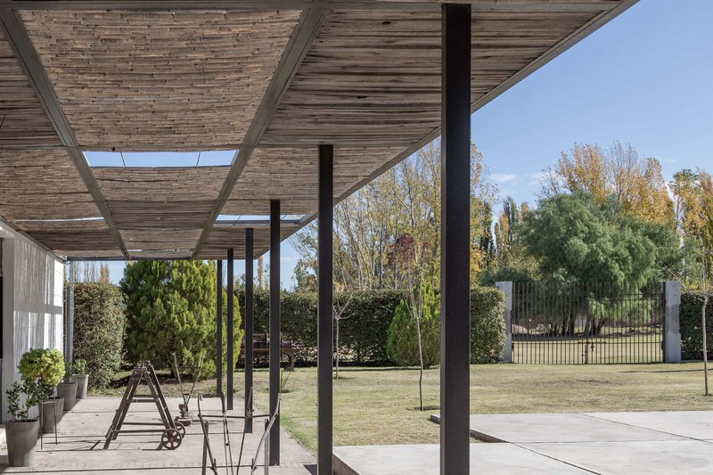 Covered terrace with timber-slat ceiling, steel columns and skylights overlooking the garden