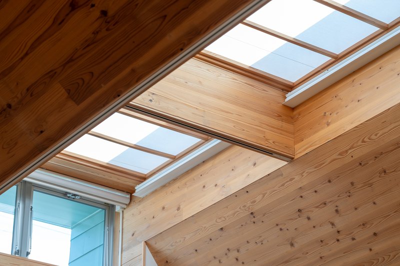 Skylight array framed by timber rafters and tongue-and-groove wood ceiling panels under a clear sky