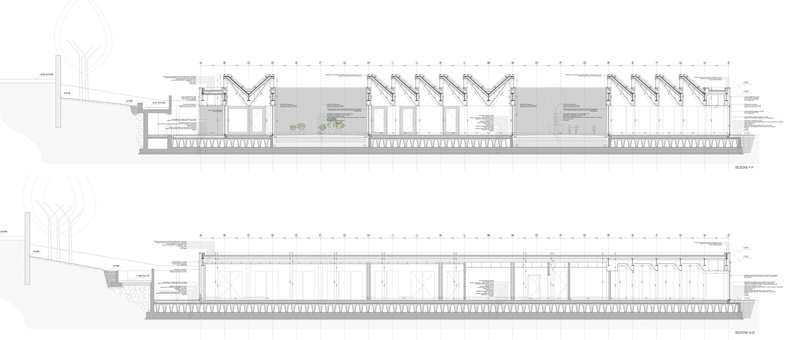 Section drawings revealing interior spatial organization beneath the zigzag roof structure