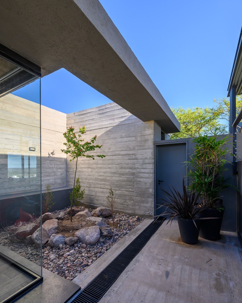 Covered courtyard with board-formed concrete bridge spanning a planted bed with boulders and young tree