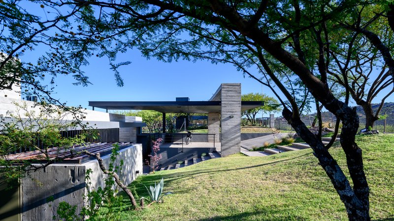 Elevated view of the cantilevered roof and stepped entry terrace framed by tree branches
