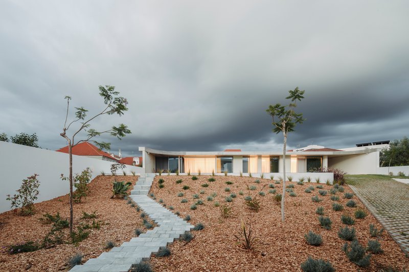 Concrete paving steps ascending through a mulched hillside planted with low shrubs and young trees under stormy skies