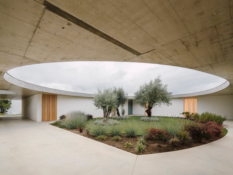 Central courtyard with circular roof opening above olive trees and planted beds with grasses
