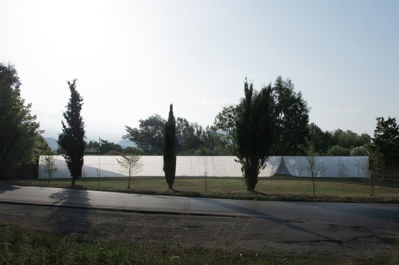 Long white fabric wall stretched across a grass lawn with cypress and deciduous trees