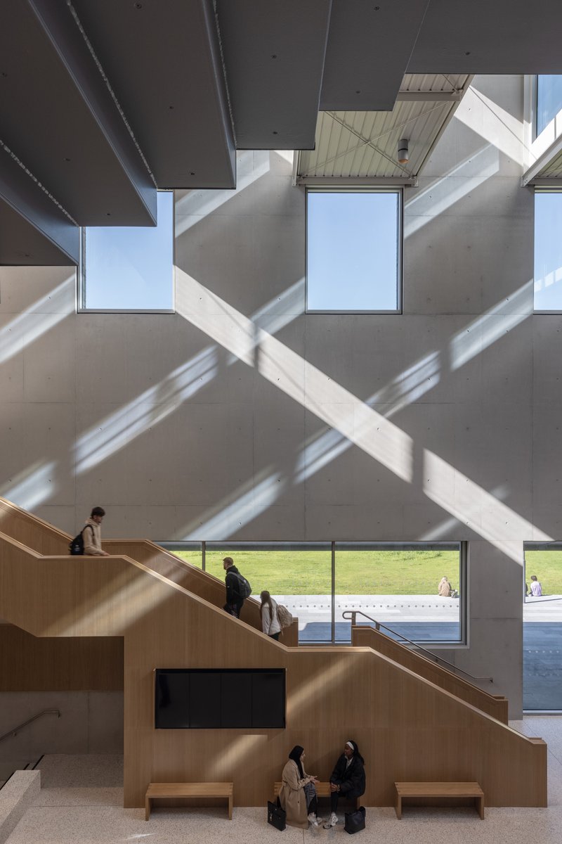 Timber clad staircase beneath a coffered concrete ceiling with geometric skylights casting diagonal shadows across the wall