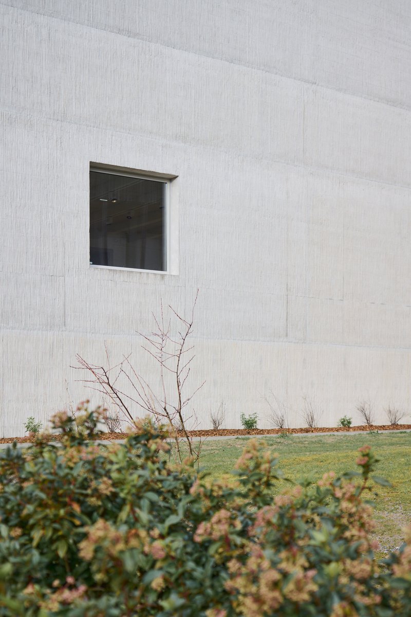 Square window in white concrete wall above a garden bed with bare shrubs and lawn