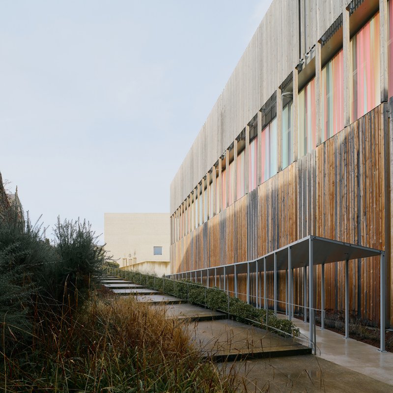 Exterior pathway with stone steps alongside weathered timber and colorful vertical panel facade with planted grasses