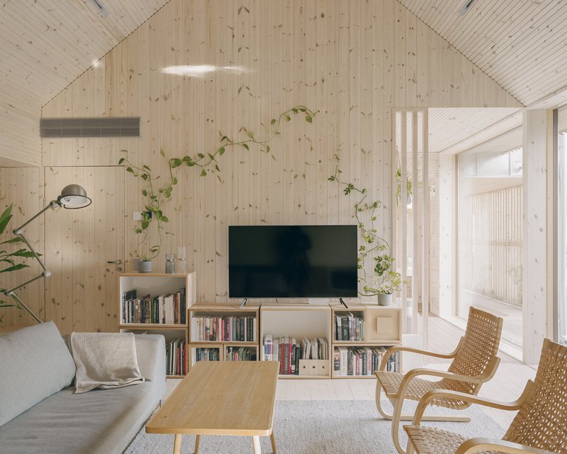 Living room with timber-paneled walls, low shelving unit beneath television, and climbing potted vines
