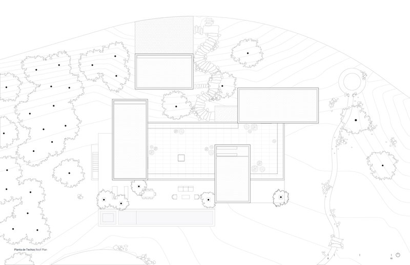 Roof plan drawing showing flat roof volumes positioned between tree canopies