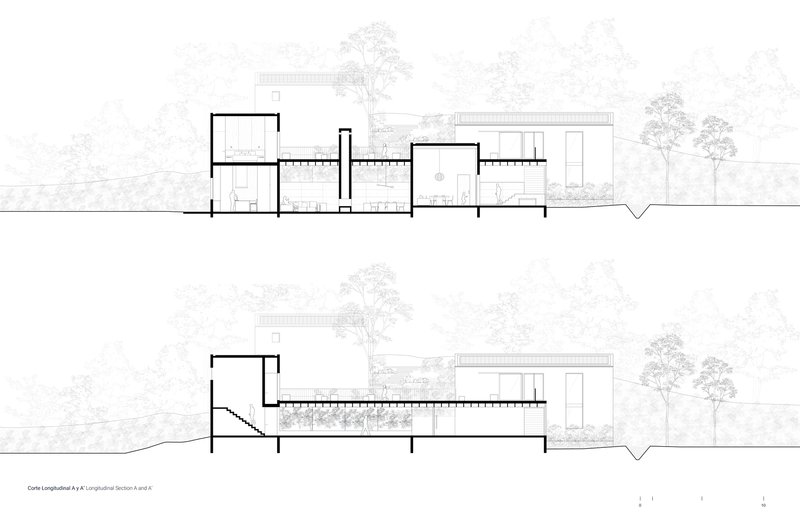 Longitudinal section drawing showing linked volumes stepping across sloping terrain with mature trees