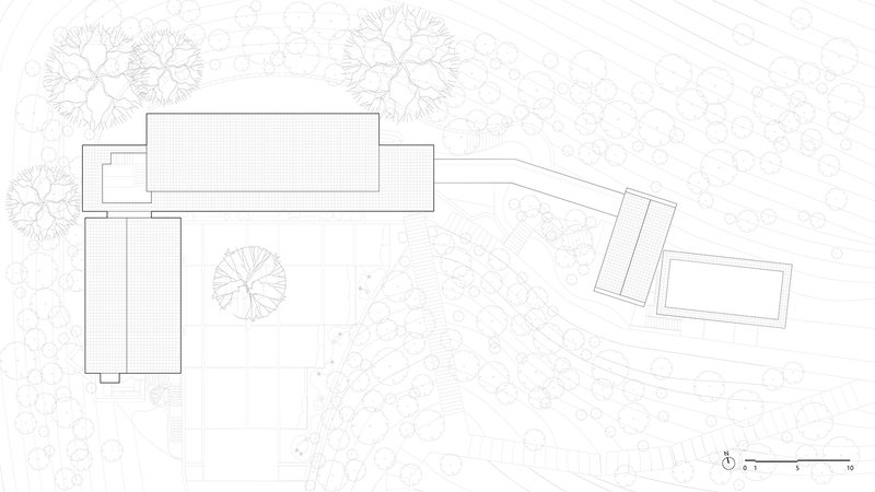Site plan drawing showing building volumes among tree canopies with curved pathways and landscape elements