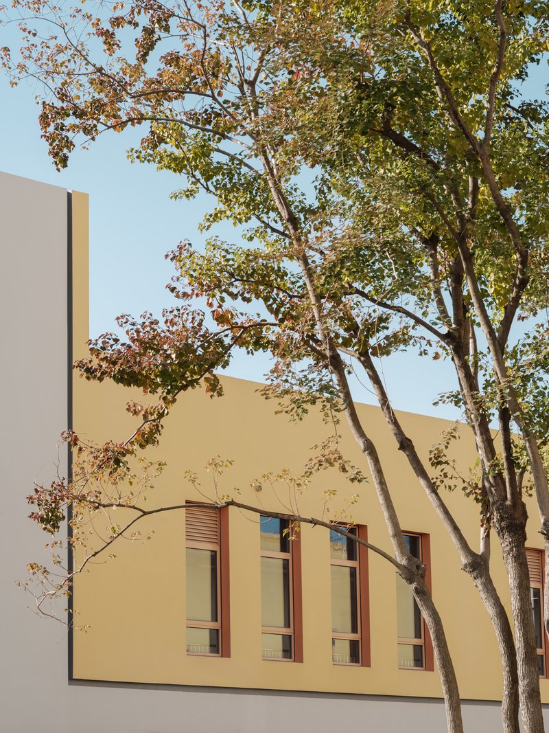 Yellow facade with recessed windows framed by tall deciduous trees in autumn foliage