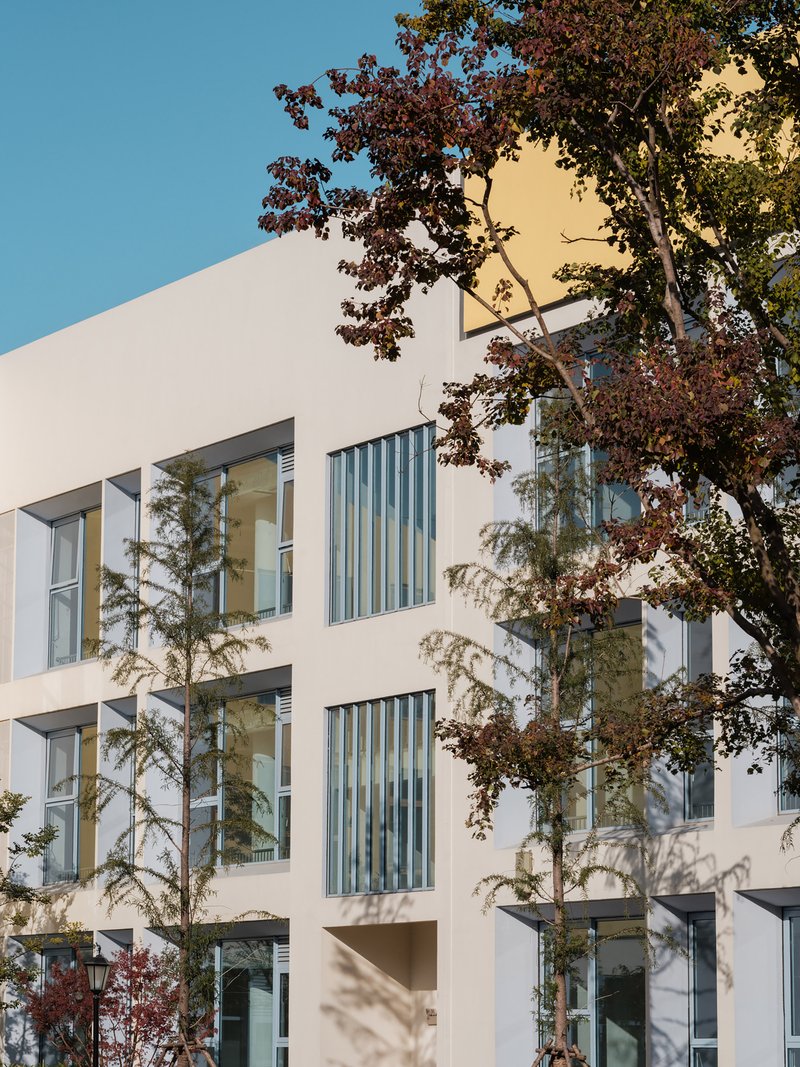 White facade with vertical louvered screens and glazed openings filtered by trees casting shadows