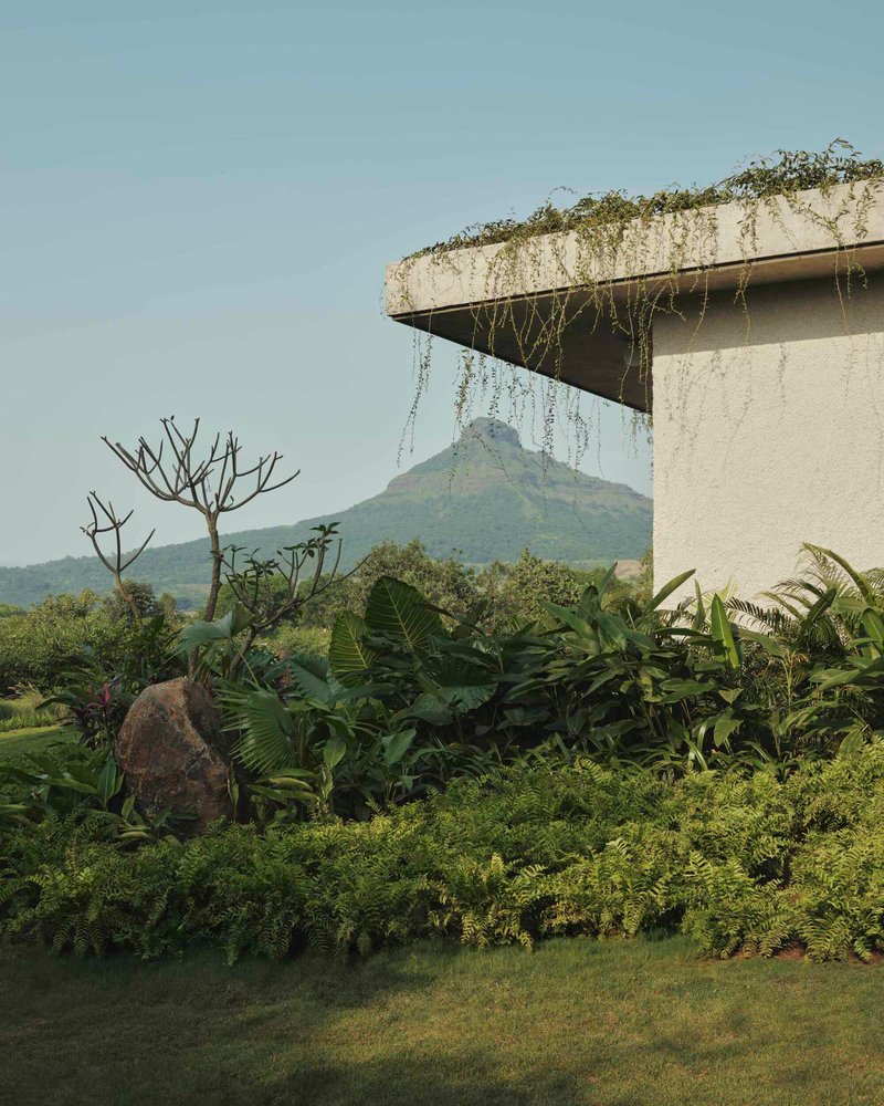Planted concrete canopy with trailing vines against a mountain backdrop and tropical garden below
