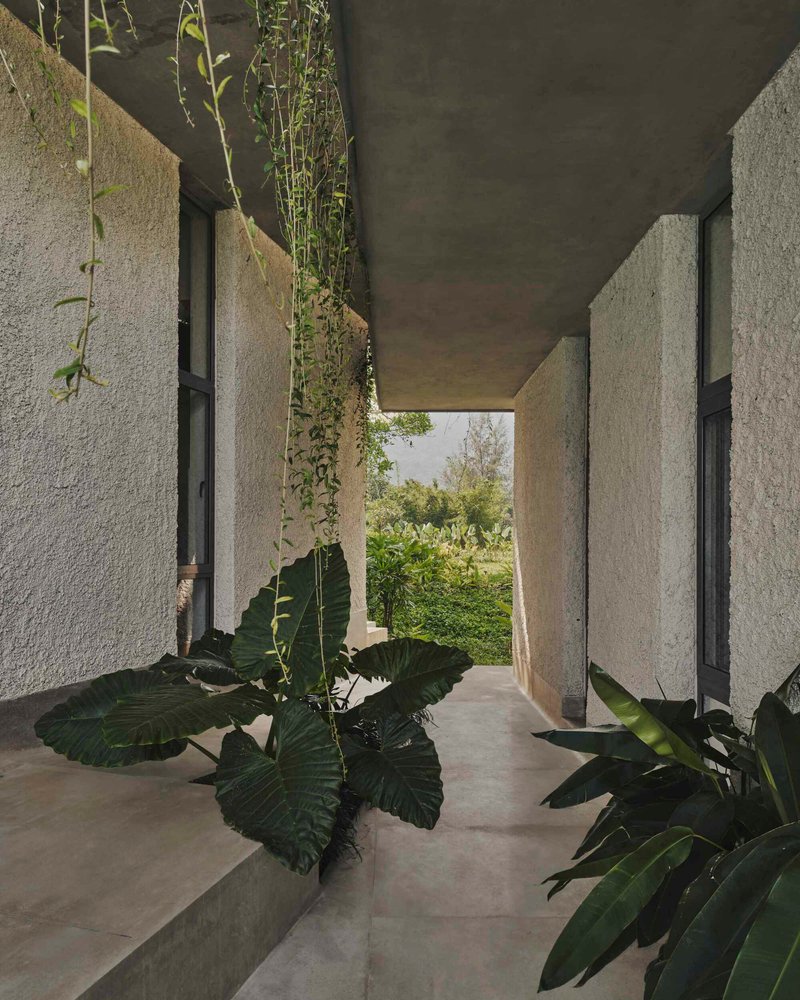 Covered corridor with concrete walls and large-leaf plants beneath the deep soffit opening to the garden