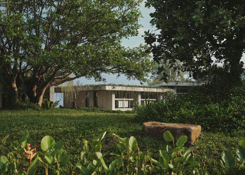 Planted roof visible above the concrete facade with mature trees and layered tropical planting in the foreground