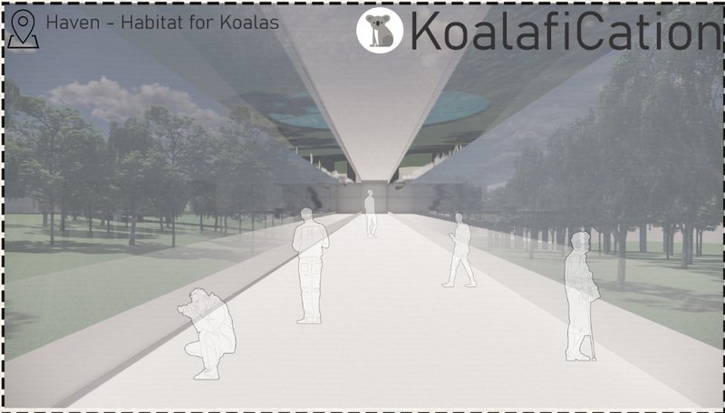 Elevated circulation spine creating a controlled interface between visitors and koala habitat.