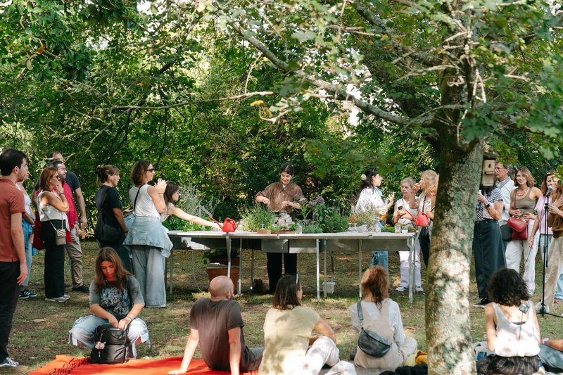 Outdoor gathering around a long table with planted herbs under dappled tree canopy