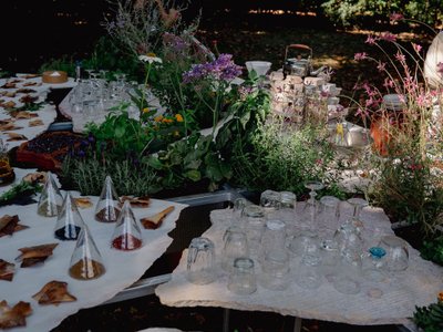 Francisca Sottomayor and Fahrenheit.Works Build a Living Kitchen Where Plants Cook Alongside People