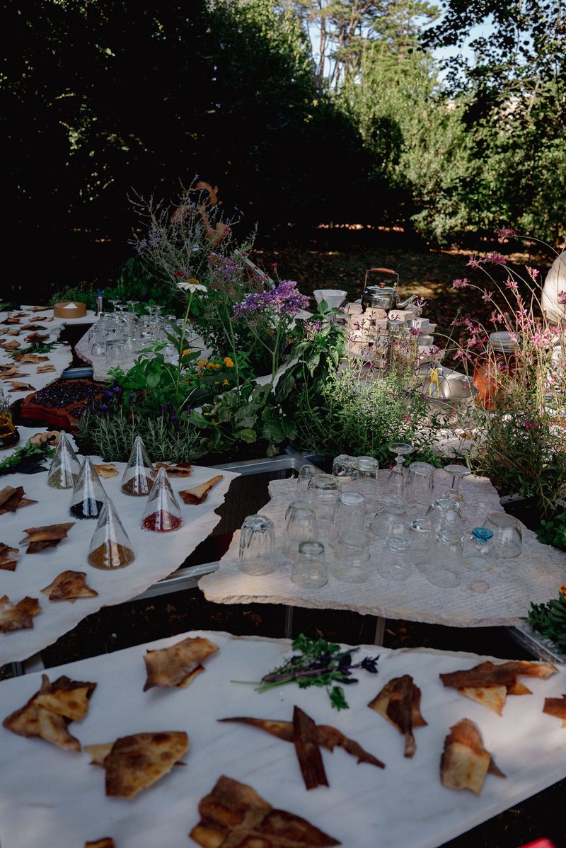 Long undulating white table with food preparations and herb plantings at dusk