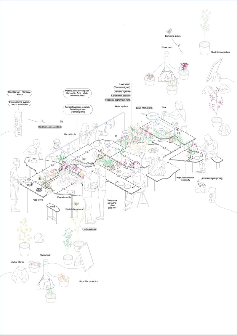 Axonometric drawing showing a communal table landscape with labeled plants, water features, and human figures