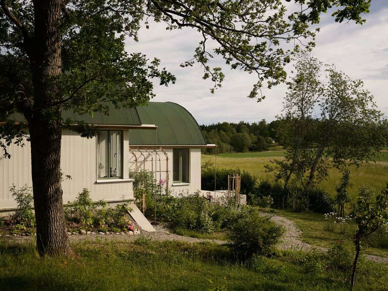 Curving green metal roof above white cladding with planted garden beds in afternoon light