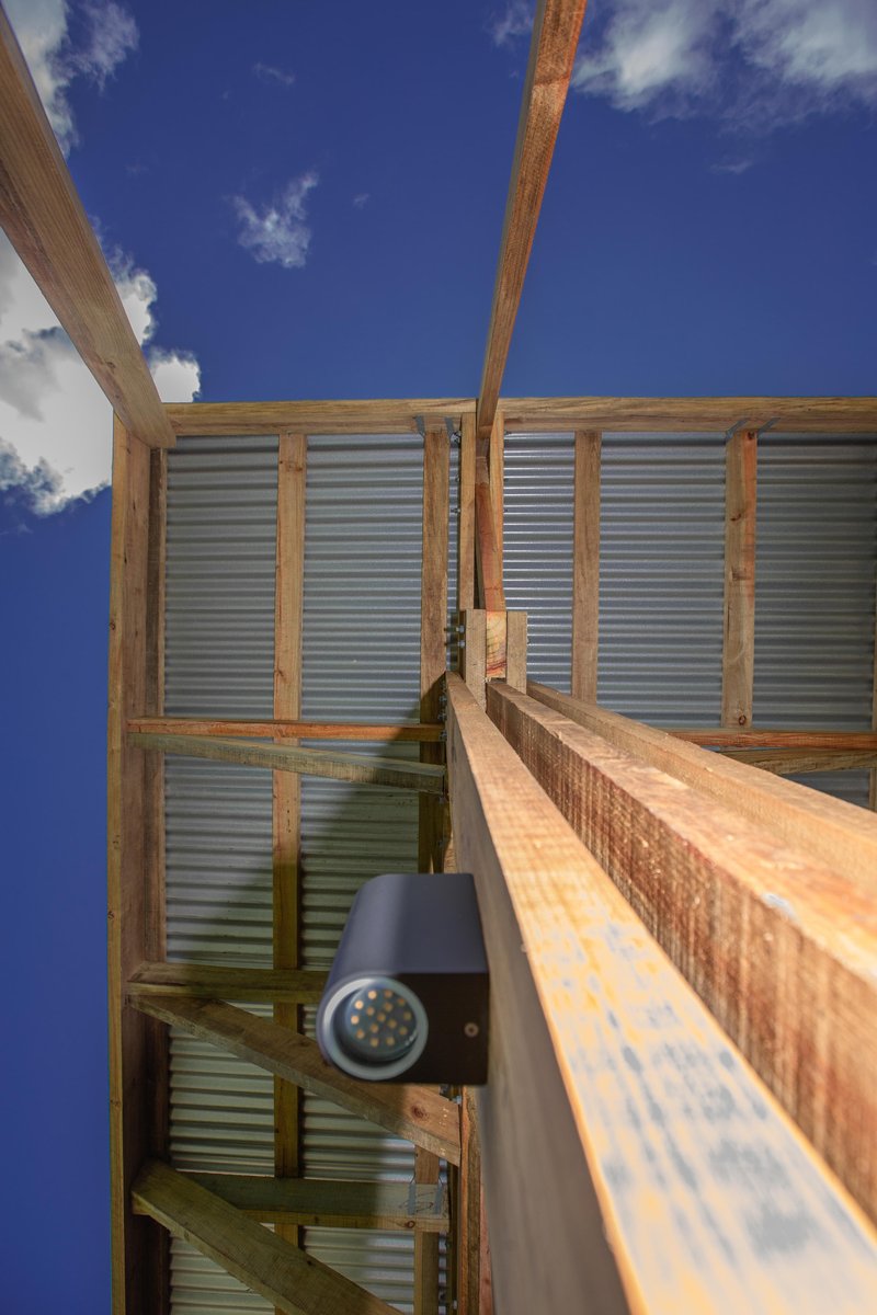 Upward view of timber beams meeting corrugated metal panels with an open sky beyond