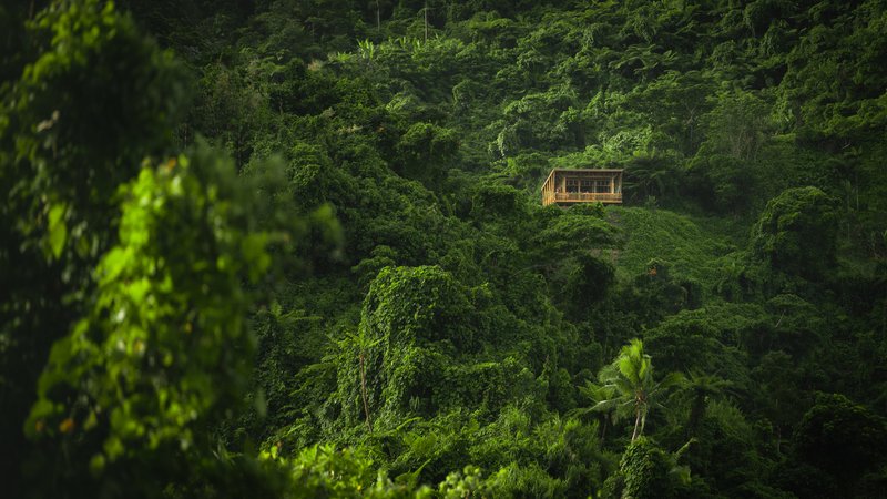 Timber pavilion perched on a hillside surrounded by dense tropical vegetation
