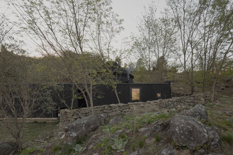 Charred timber cladding with window openings behind stone boulders and leafless birch trees at dusk