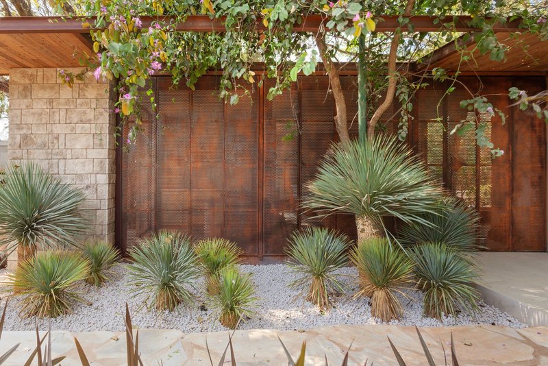Perforated weathered metal screen wall with overhead timber pergola and planted yuccas in white gravel