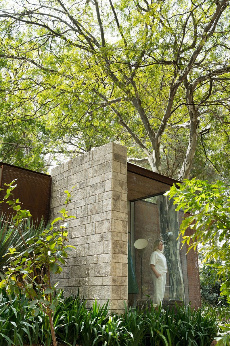Textured concrete block corner volume with full-height glazing beneath a canopy of deciduous trees