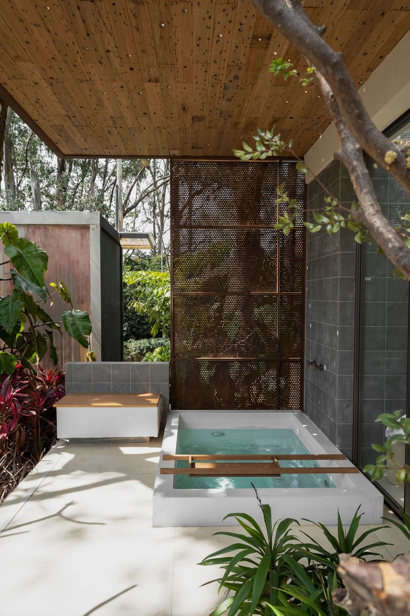 Sunken courtyard pool with timber ceiling and perforated bronze screen beneath an overhanging tree branch