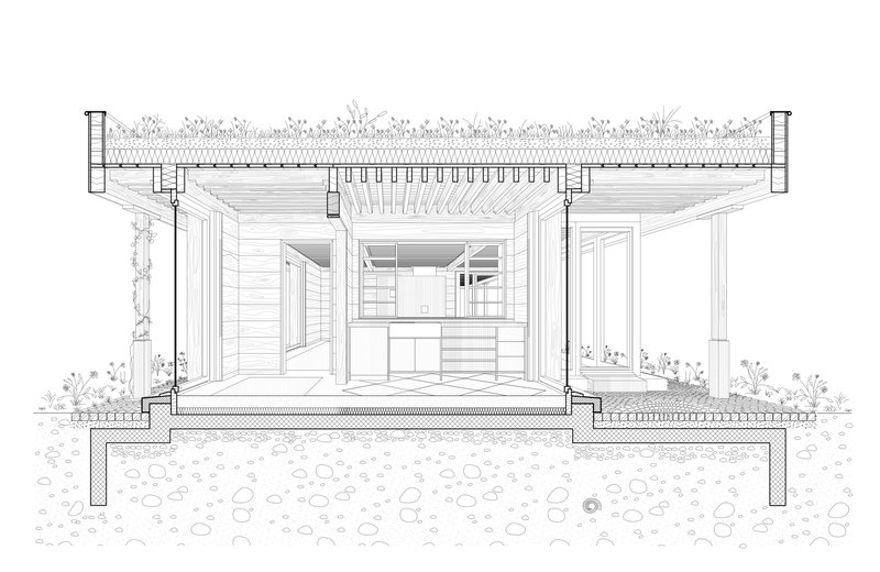 Section drawing through an elevated pavilion showing open living spaces and planted roof with vegetation