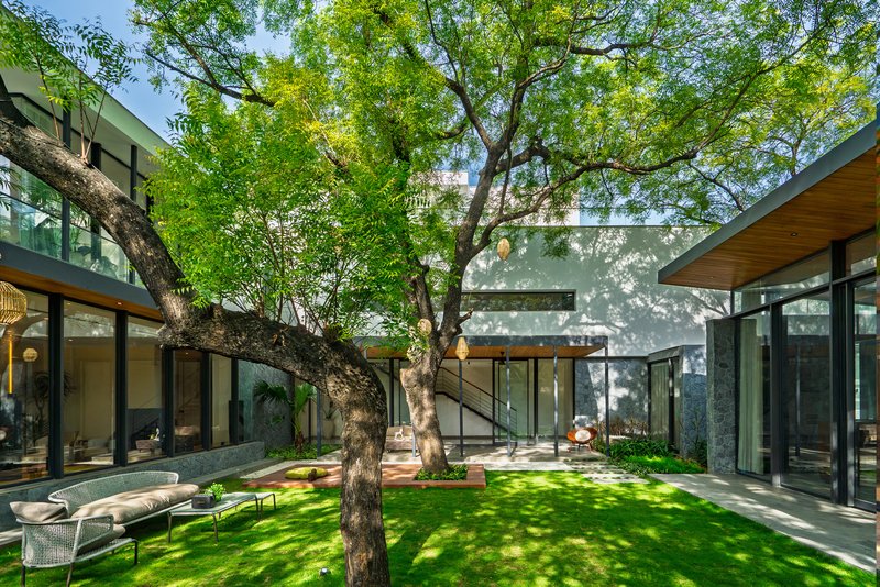 Central courtyard enclosed by glass walls and flat roofs with preserved trees casting dappled shadows on lawn