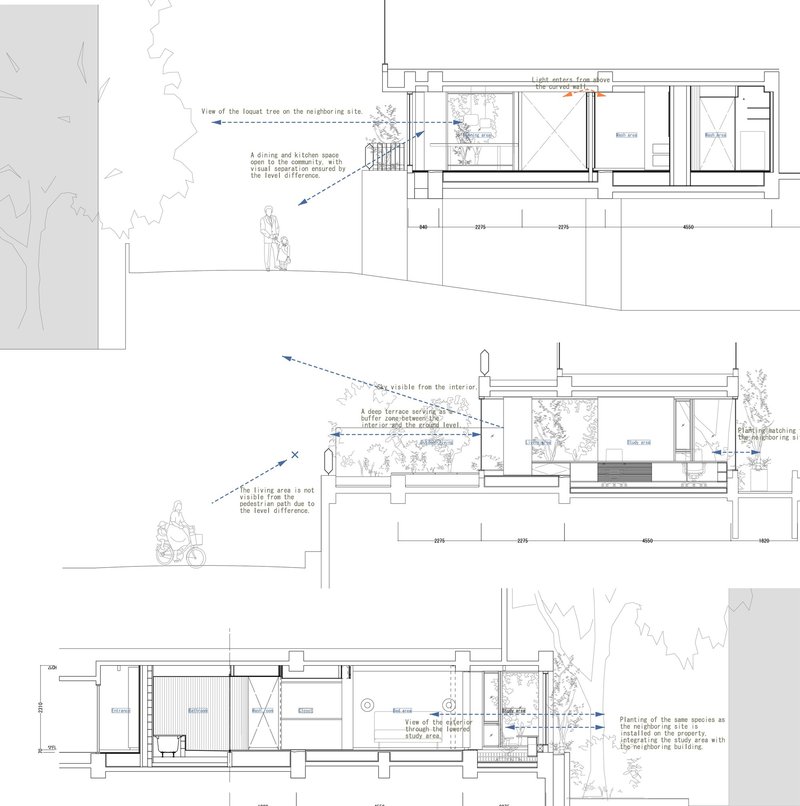 Section drawings showing split-level interior spaces and relationships to surrounding trees