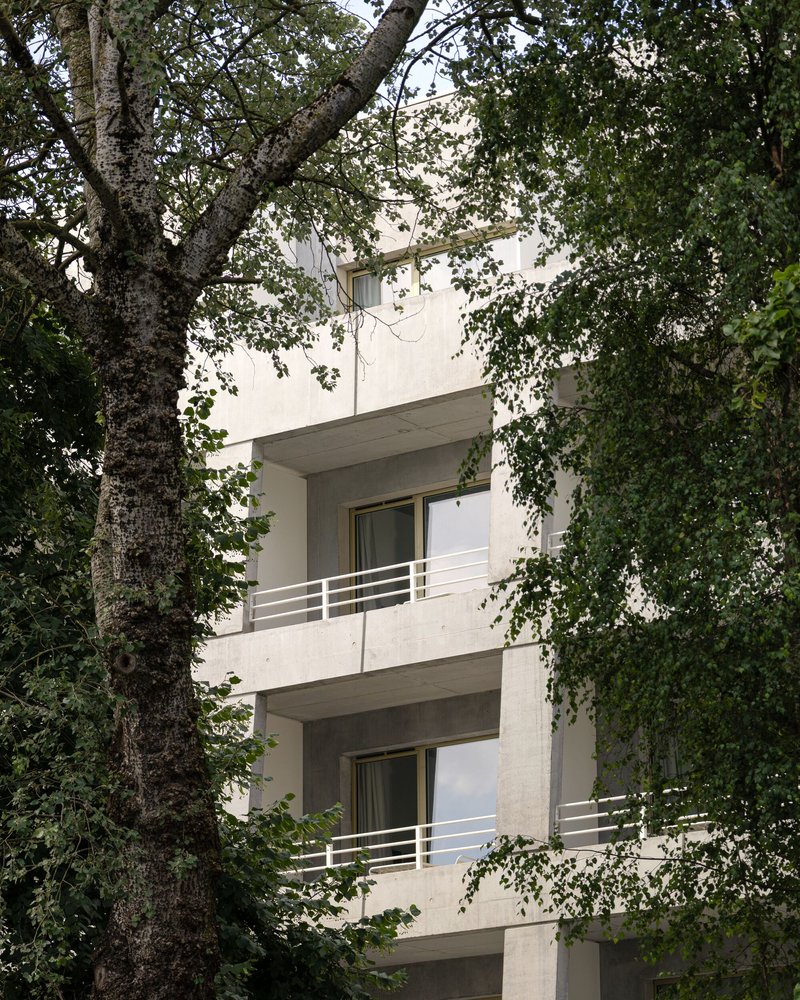 Stacked balconies with white metal railings framed by tree trunks and overhanging branches