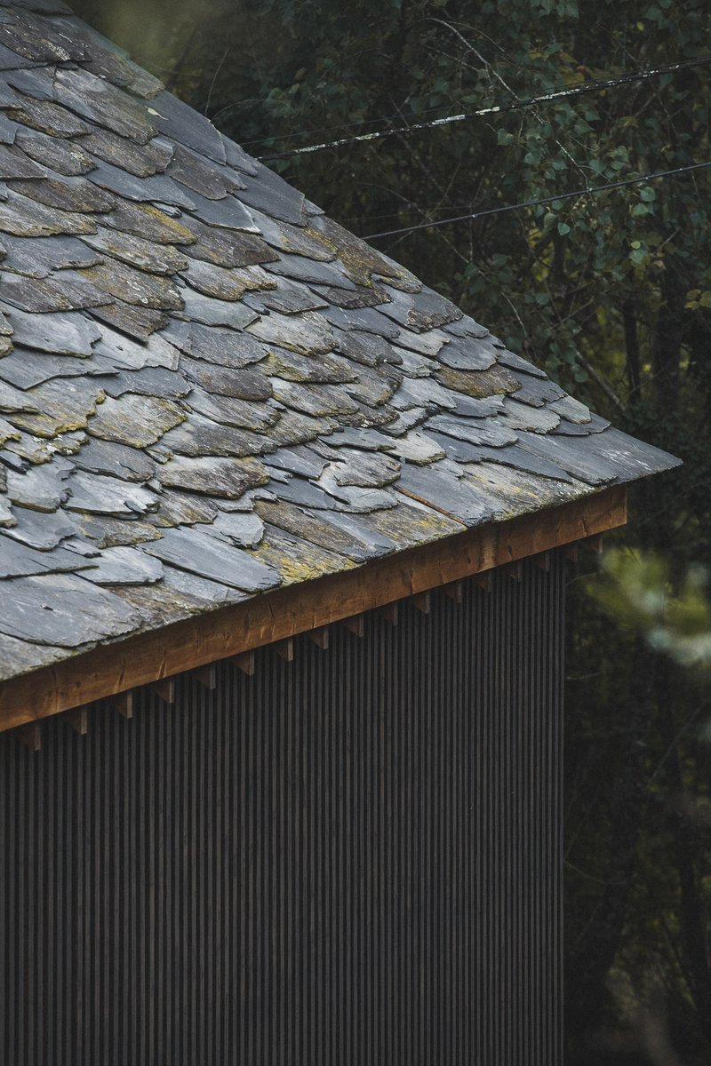 Weathered slate roof with moss meeting dark vertical corrugated wall below forest backdrop