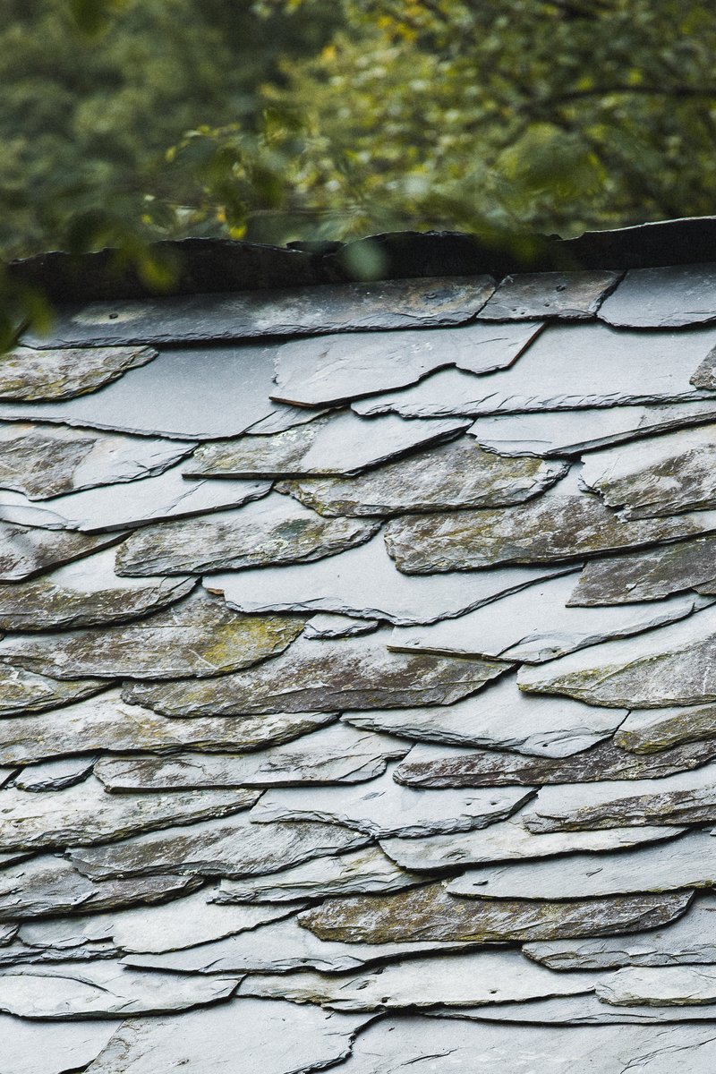 Close-up of layered slate roof shingles with lichen and moss growth