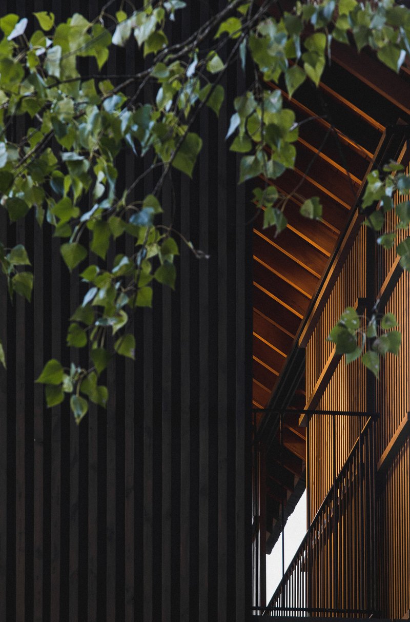Close-up of dark corrugated cladding meeting timber louvered screen with foliage overhead