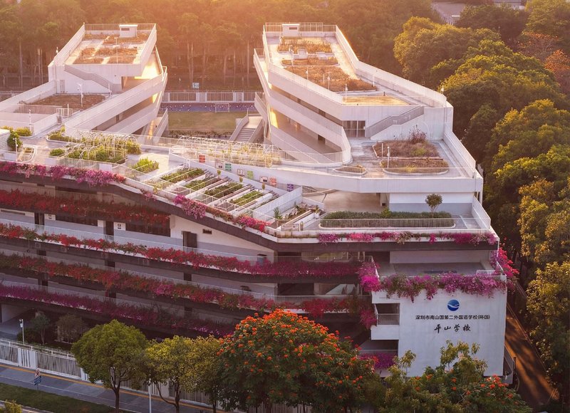 Stepped white terraces covered in pink and red flowering vines at golden hour