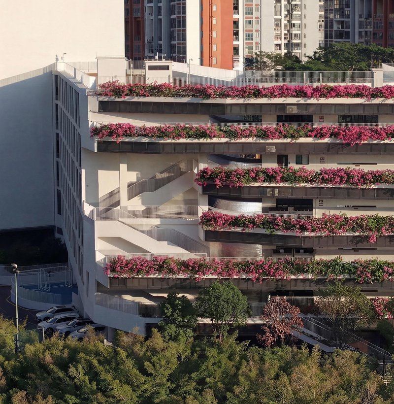 Stacked terrace levels with continuous planters of pink flowering vines against high-rise towers